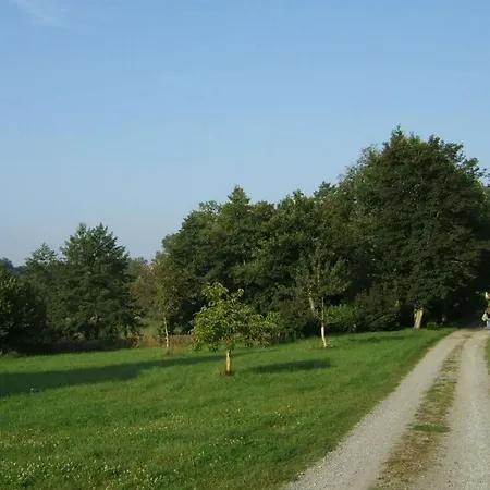 Gaschler 2 Oy-Mittelberg